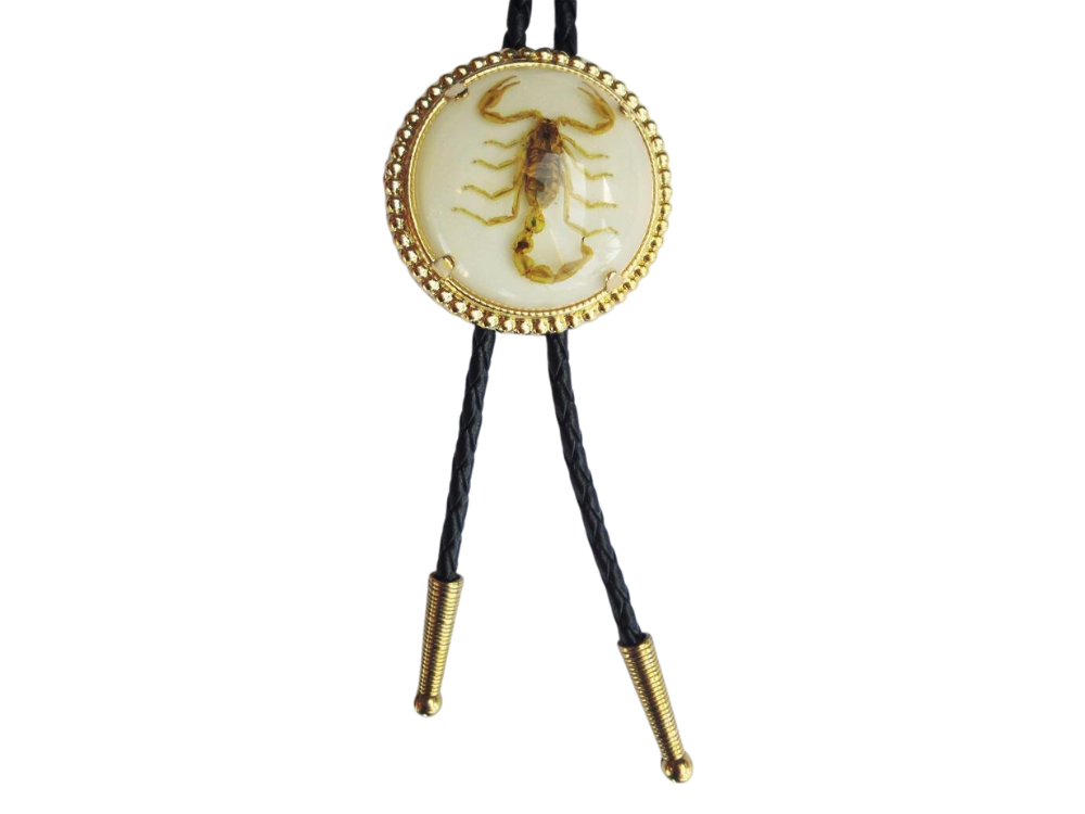 Scorpion White and Gold Rodeo Animal Round Rodeo Cowboy Bolo Tie Western Bolo Tie Chain Necklace…