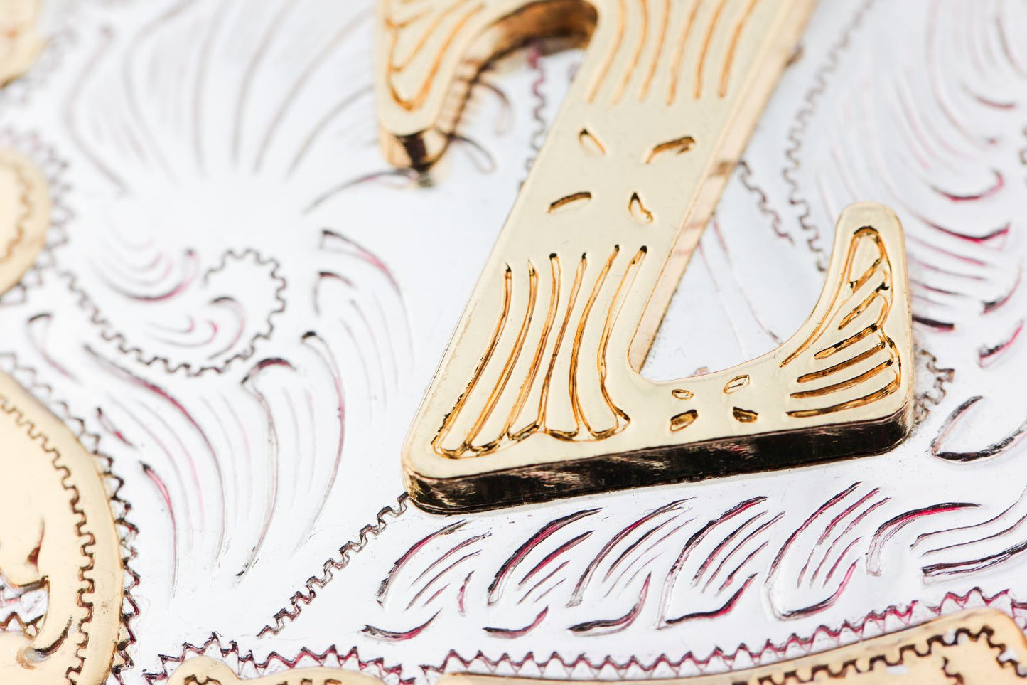 Initial Letter "Z" Cowboy Rodeo Western Large Gold Tone Belt Buckle