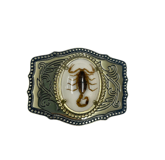 Western Rodeo Real Scorpion Gold Tone White Fashion Belt Buckles